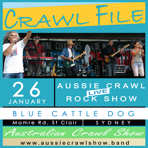 blue cattle dog gig